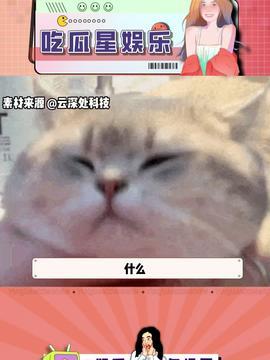 娱乐吃瓜酱鼠,揭秘娱乐圈那些不为人知的幕后故事  第2张